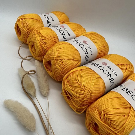 Пряжа Begonia 5307