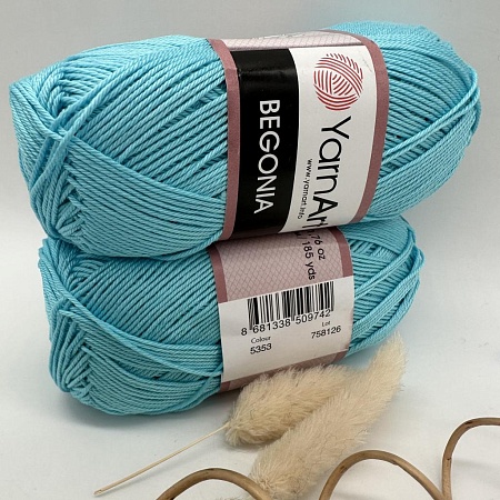 Пряжа Begonia 5353