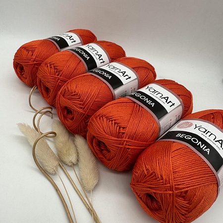 Пряжа Begonia 5535