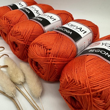 Пряжа Begonia 5535