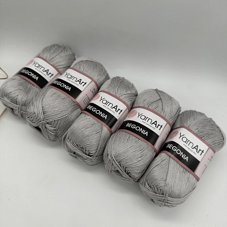 Пряжа Begonia 4920