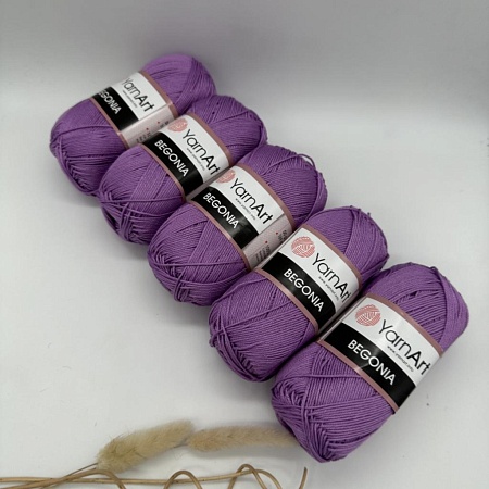 Пряжа Begonia 6309