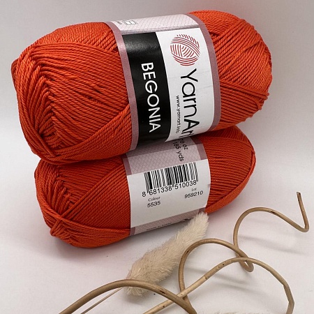 Пряжа Begonia 5535