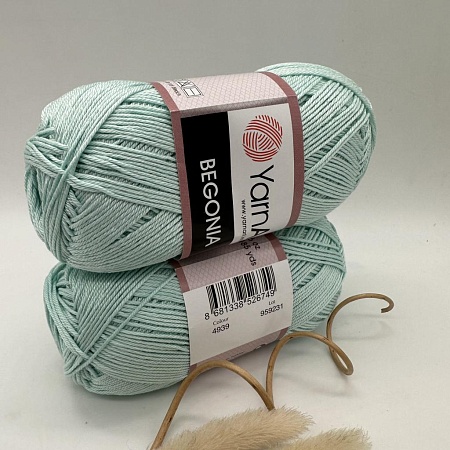 Пряжа Begonia 4939