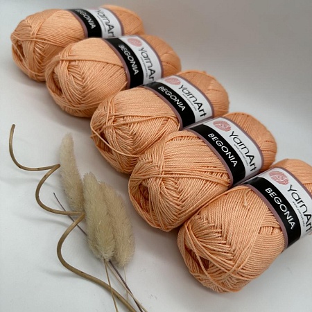 Пряжа Begonia 6322