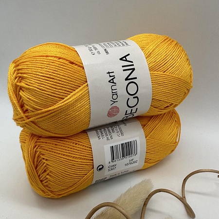 Пряжа Begonia 5307