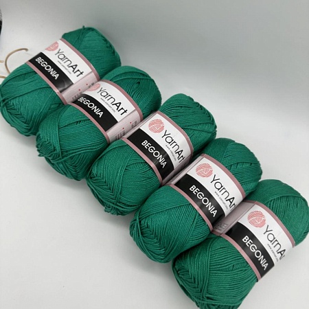 Пряжа Begonia 6334