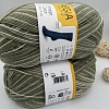 Пряжа Regia Vintage Color /Винтаж Колор/ 02858, farn color (цвет папоротника), белый/зеленый)
