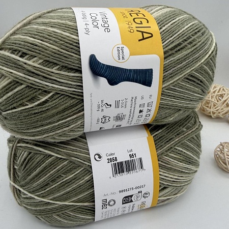 Пряжа Regia Vintage Color /Винтаж Колор/ 02858, farn color (цвет папоротника), белый/зеленый)