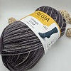 Пряжа Regia Vintage Color /Винтаж Колор/ 02859, lavendel color (цвет лаваны), белый/фиолетовый)