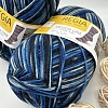Пряжа Regia Design Line 03891