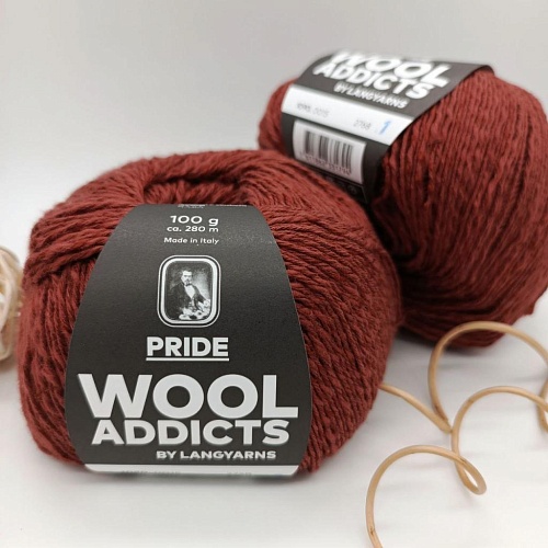 Пряжа PRIDE Wool Addicts 1090.0015 коричневый