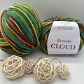 Пряжа Пряжа YarnArt Cloud 5321