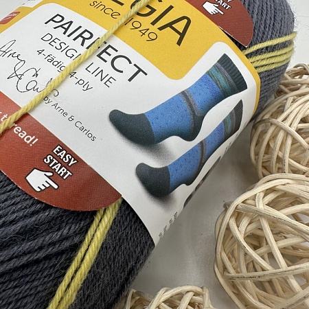 Пряжа Regia Pairfect Design Line 06818