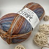Пряжа Yarn Art Forza Stripe 2805
