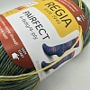 Пряжа Regia Pairfect 07121