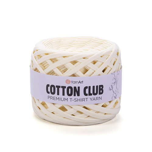 Пряжа Cotton Club 7348