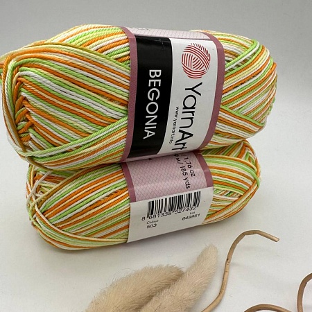 Пряжа Begonia Print 503 (Заневский пр,20)