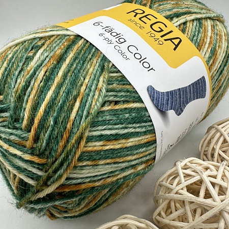 Пряжа Regia 6 - fadig Color 06055