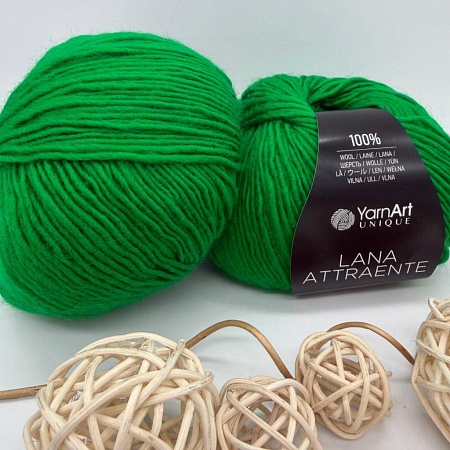 Пряжа Lana Attraente 6661