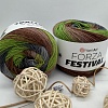 Пряжа Forza Festival 2910