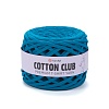 Пряжа Cotton Club 7360