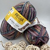 Пряжа Regia 4 - fadig Color 04072