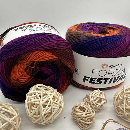 Пряжа Forza Festival 2903