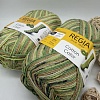 Пряжа Regia Cotton Color 02418 киви Tutti Frutti