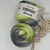 Пряжа Symphony Dream 3112