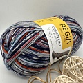 Пряжа Regia Design Line 04010