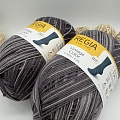 Пряжа Regia Vintage Color /Винтаж Колор/ 02859, lavendel color (цвет лаваны), белый/фиолетовый)