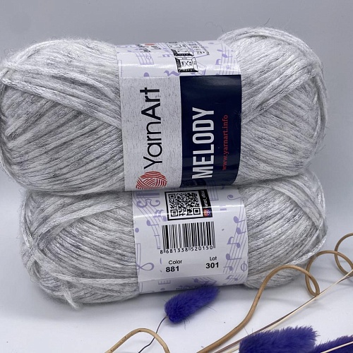 Пряжа Melody 881