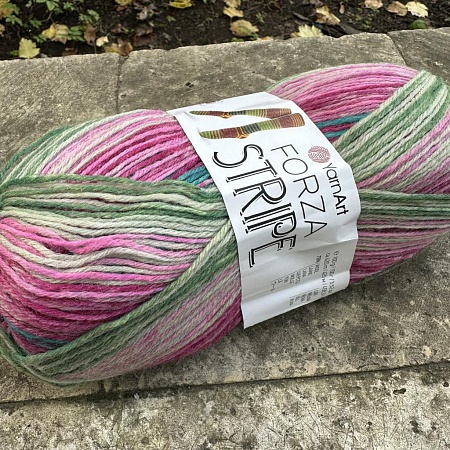 Пряжа Yarn Art Forza Stripe 2808