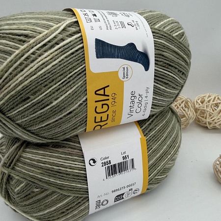 Пряжа Regia Vintage Color /Винтаж Колор/ 02858, farn color (цвет папоротника), белый/зеленый)