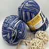 Пряжа Regia Design Line 03892