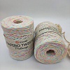 Пряжа Пряжа для вязания рафия крученая Papiro Twisted melange 2307