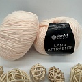 Пряжа Lana Attraente 6635