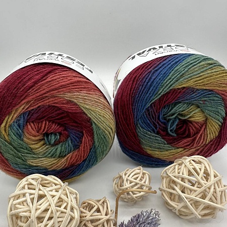 Пряжа Forza Festival 2904