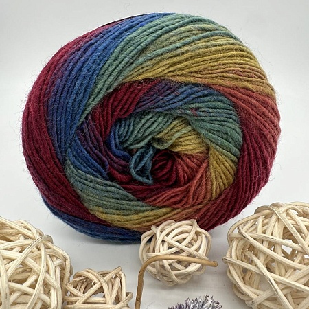 Пряжа Forza Festival 2904