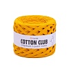Пряжа Cotton Club 7317