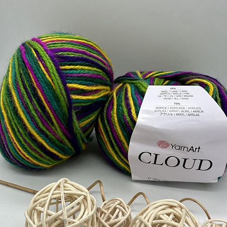 Пряжа Пряжа YarnArt Cloud 5309