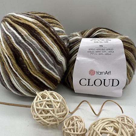 Пряжа Пряжа YarnArt Cloud 5302