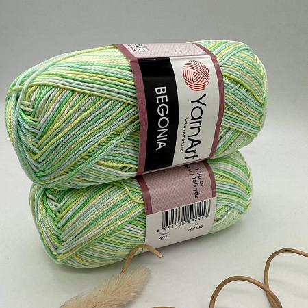 Пряжа Begonia Print 501 (Заневский пр,20)