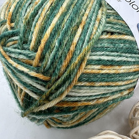 Пряжа Regia 6 - fadig Color 06055