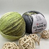 Пряжа YarnArt Summer Dream 4303