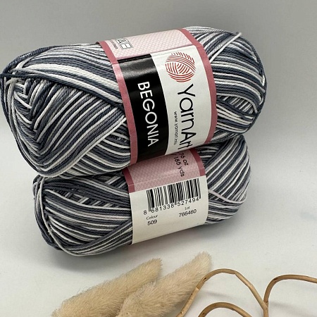 Пряжа Begonia Print 509 (Заневский пр,20)