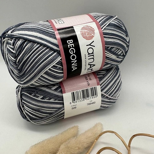 Пряжа Begonia Print 509 (Заневский пр,20)