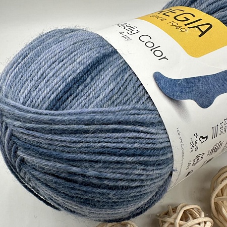 Пряжа Regia 4 - fadig Color 03052